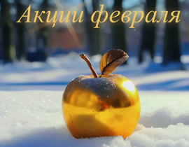Акции февраля 2025