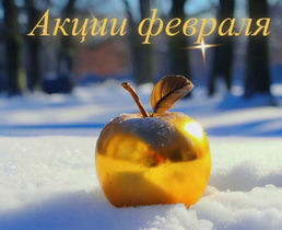 Акции февраля 2025